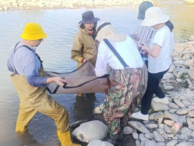 Kampirobod havzasida 14 turdagi baliq aniqlanib, ba’zi turlar ro‘yxatdan o‘rin olmadi