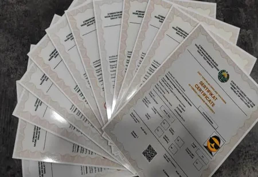 O‘zbekistonda 11 ta yangi chet tili sertifikati joriy etiladi