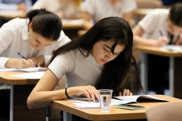 O'zbekistondagi universitetlarga yangi mutaxassisliklar kiritildi