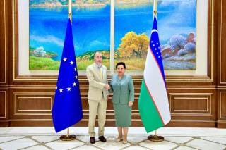 Европа Иттифоқи элчиси Ўзбекистон ислоҳотларини юксак баҳолади