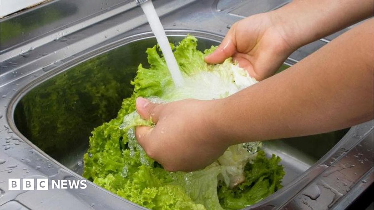 First Two Deaths Recorded Due to 'Explosive Diarrhea' Epidemic in the USA