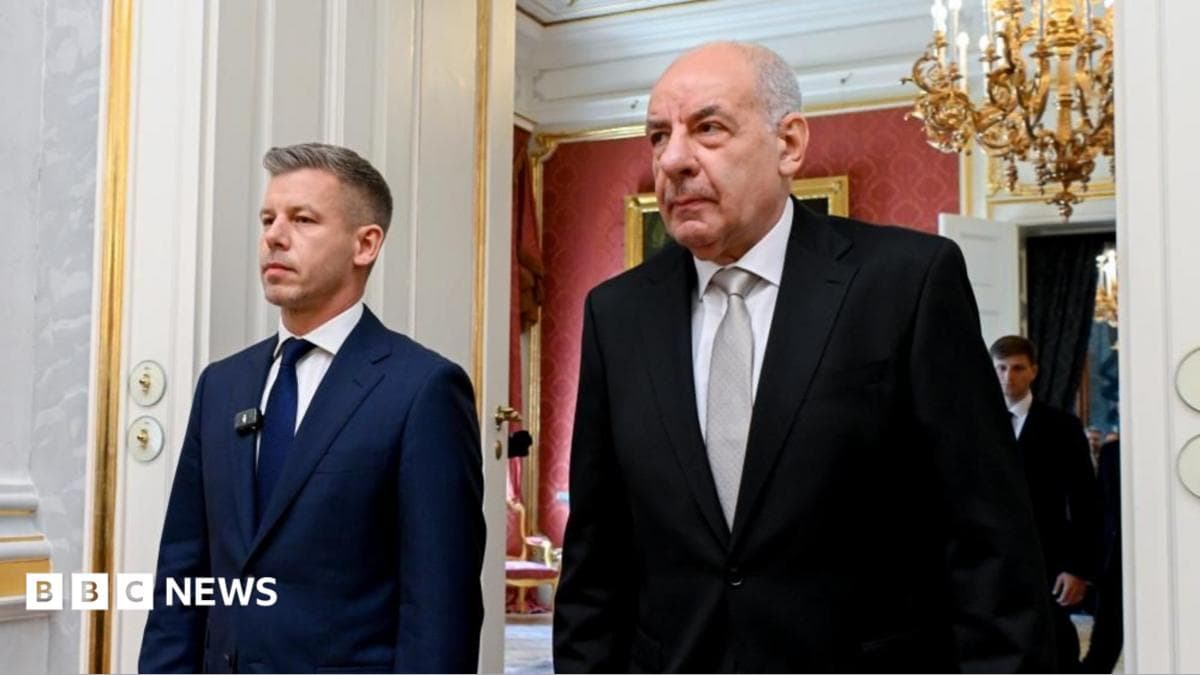 Президент Венгрии согласился подать в отставку после решения парламента