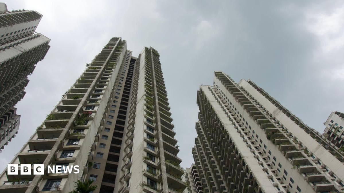 Malayziyaning Forest Citysida firibgarlik fosh etildi