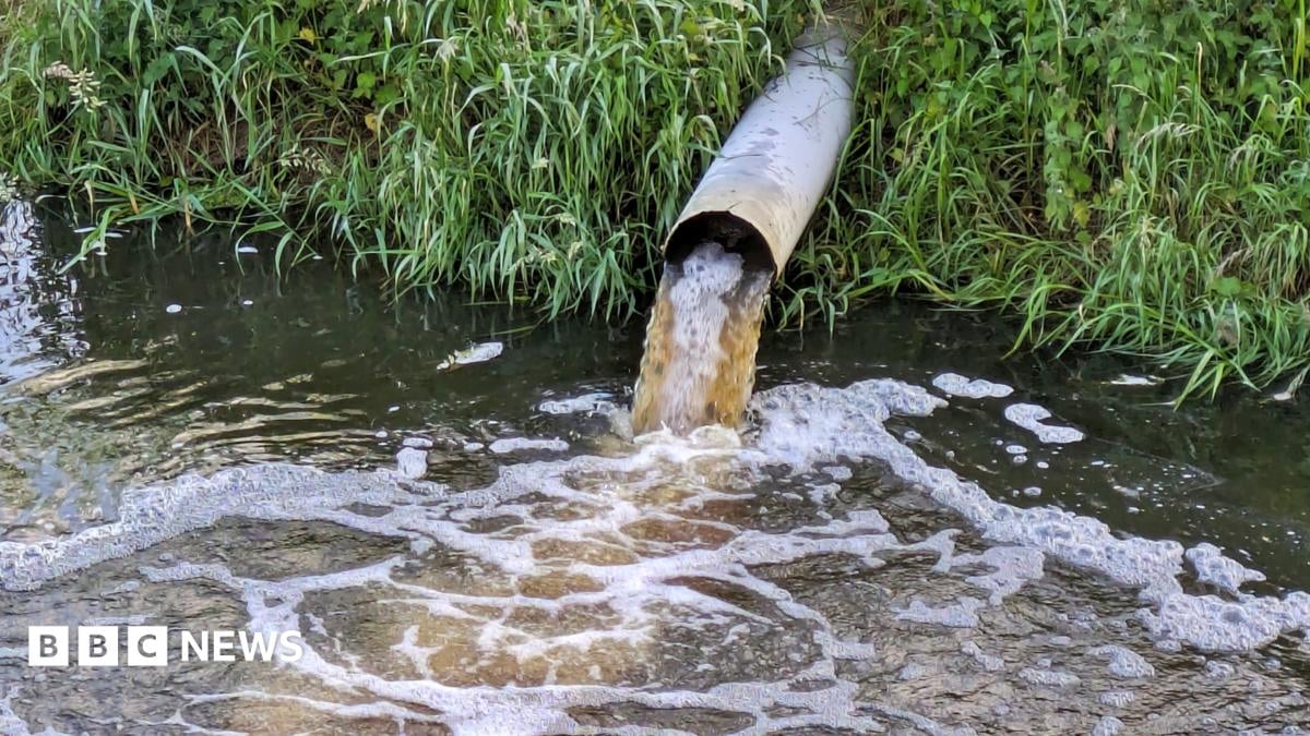 Компания Severn Trent избежала штрафа за нарушение обязательств по сточным водам
