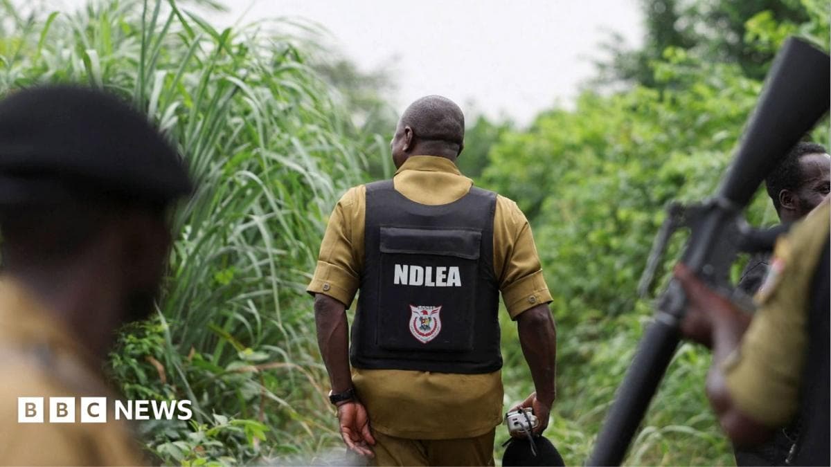 Mexika narkokartellari Nigeriyada metanol laboratoriyalarini joylashtirmoqda