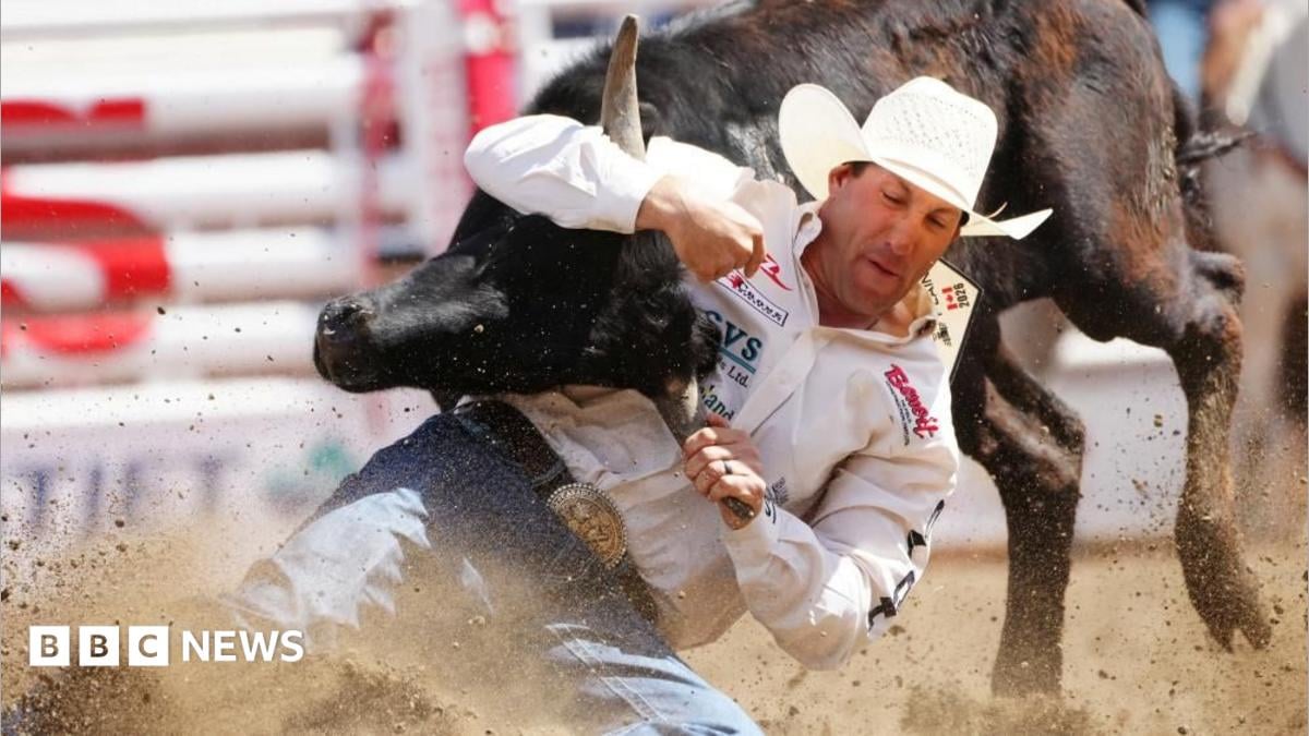 Alberta bo'linishi muhokama qilinmoqda: Kanadadagi Calgary Stampede'da taranglik kuchaymoqda
