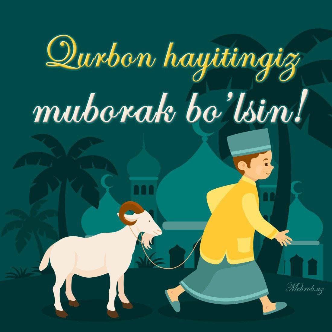 Fransiyada ikkita harbiy samolyot havoda to‘qnashib ketdi.