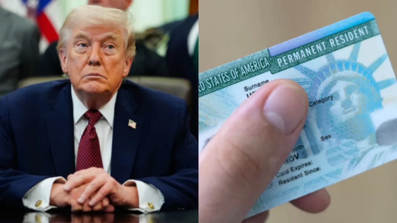 Grin karta uchun 100 ming dollarlik garov talab qilinishi mumkin