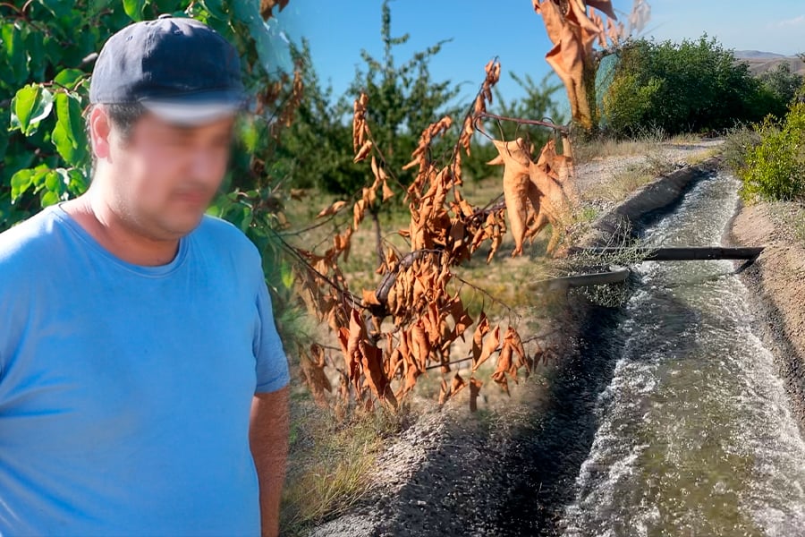 Farg‘onadagi bog‘lar suv muammosiga duch kelmoqda