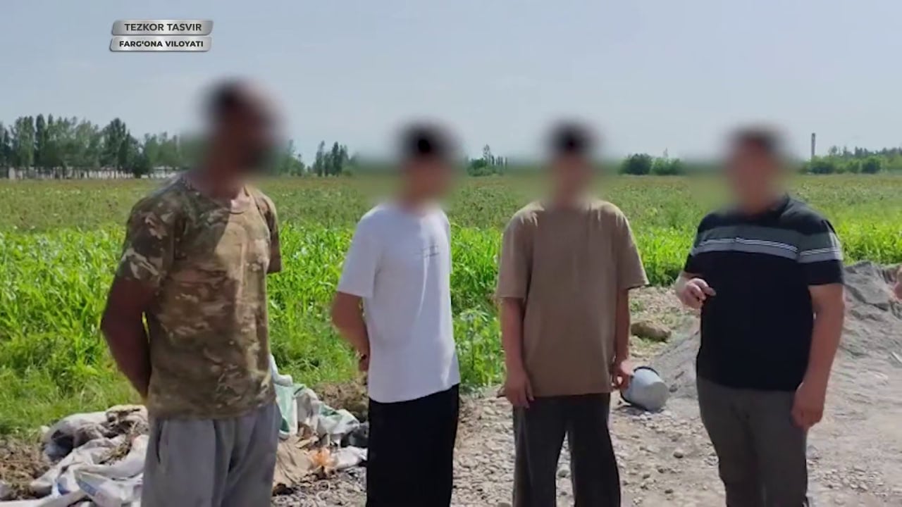 Farg‘onada 6 kg «gashish» musodara qilindi